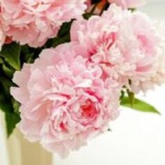 Лора Лей Лора Лей