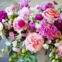 Лена Хейди Лена Хейди