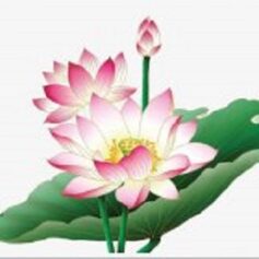 София Монкут София Монкут