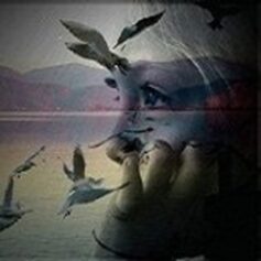 Ксюша Литт Ксюша Литт